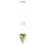 Palma Hanglamp 3724 LED Ø22 met plantenbak mat wit