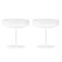 Ripple champagne glas set van 2 Frosted