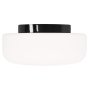 Solenne 360/176 plafond- en wandlamp Ø32 zwart