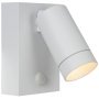 Taylor 1 wandlamp buiten IP54 wit