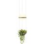 Palma Hanglamp 3724 LED Ø22 met plantenbak mat grijs