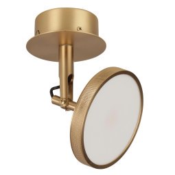 Asteria Spot plafond- en wandlamp LED messing