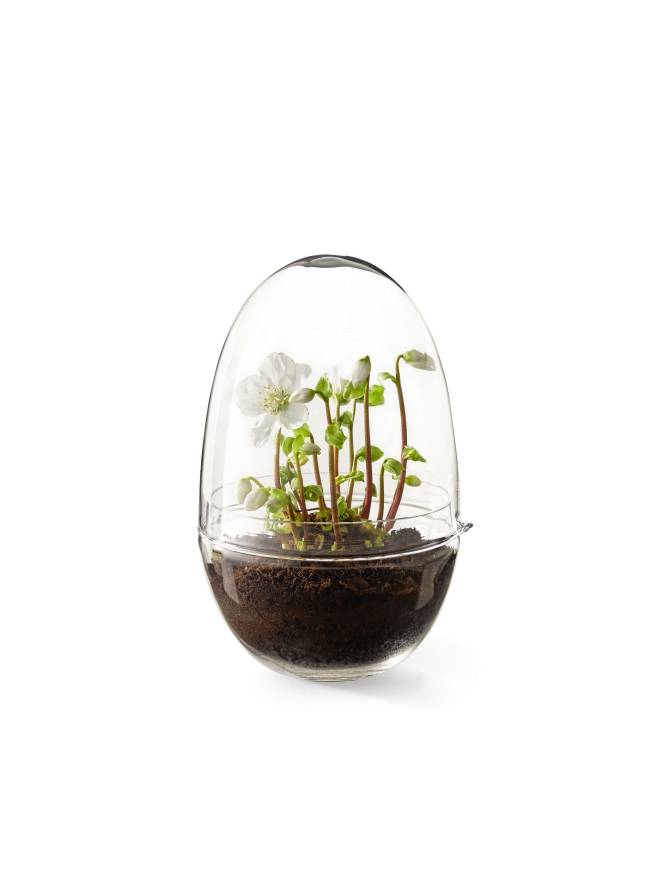 Design House Stockholm Grow vaas X-large | Flinders