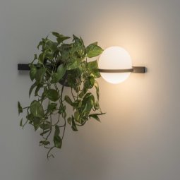 Palma 3702 wandlamp LED met plantenbak grafiet